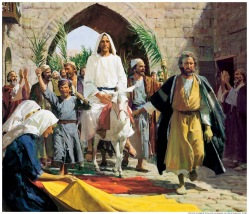 Resultado de imagem para imagens de Jesus entrando em Jerusalém